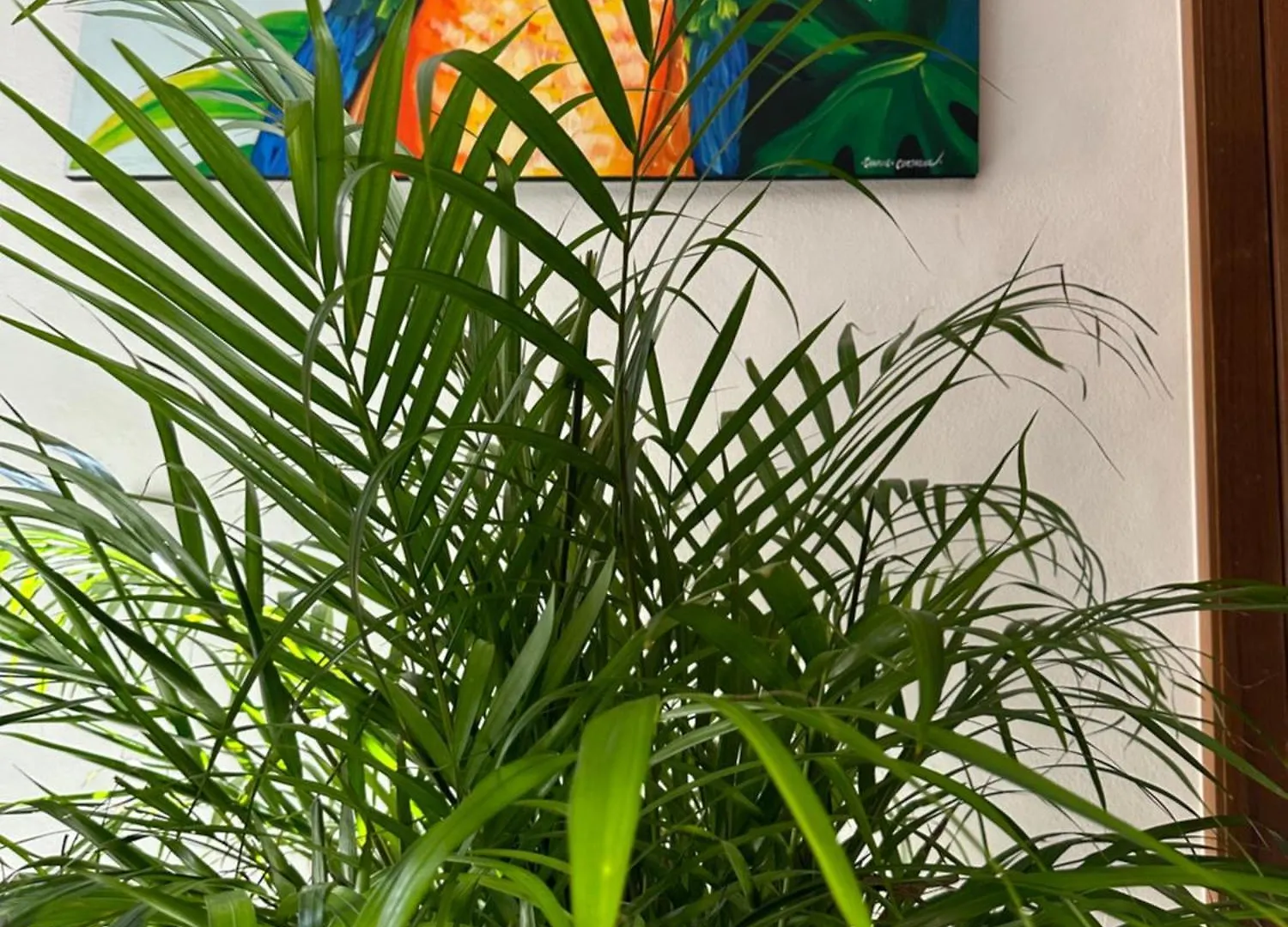 Oasis Urban Retreat Apartment Cancun