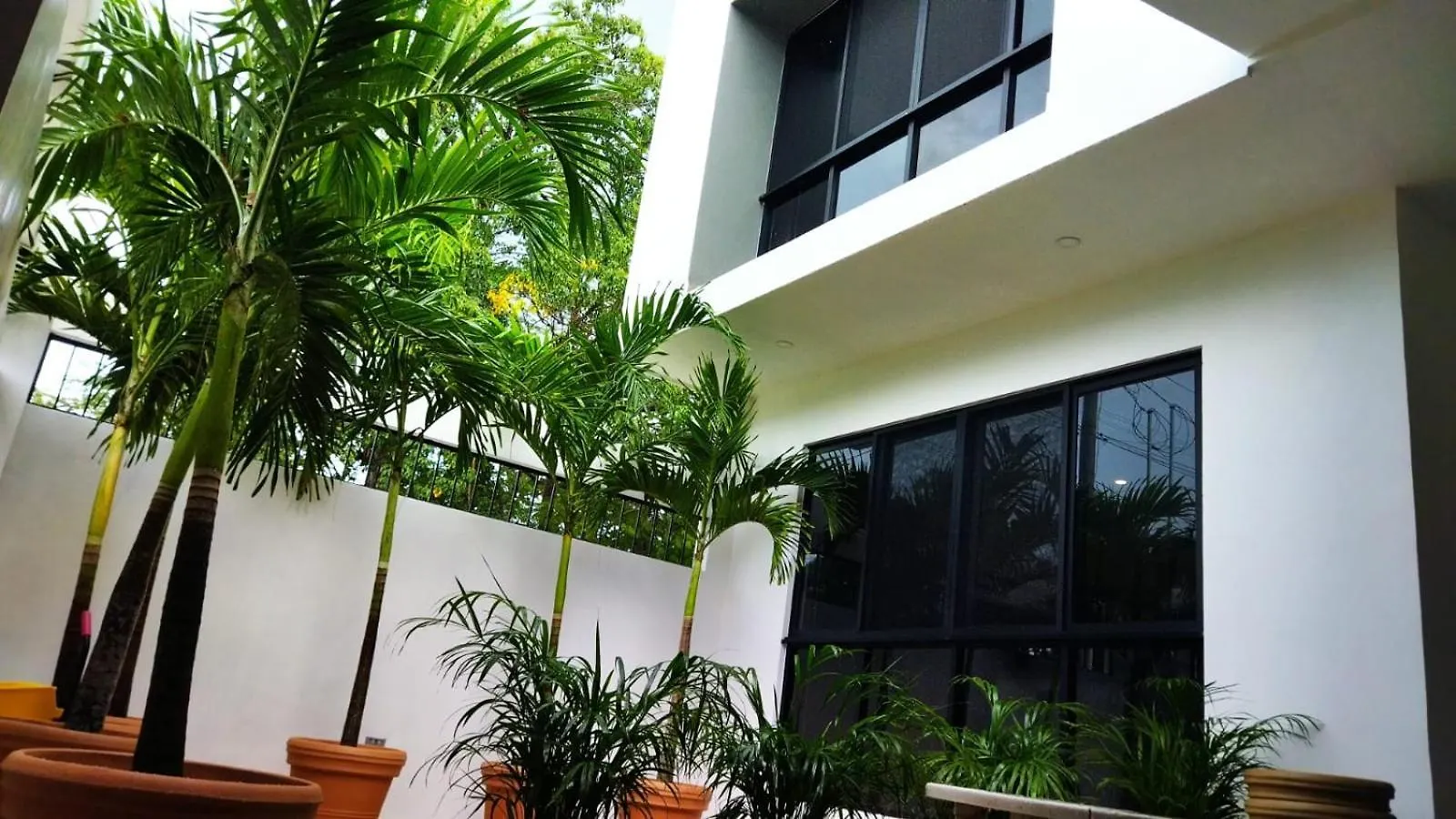 Oasis Urban Retreat Apartment Cancun Mexico