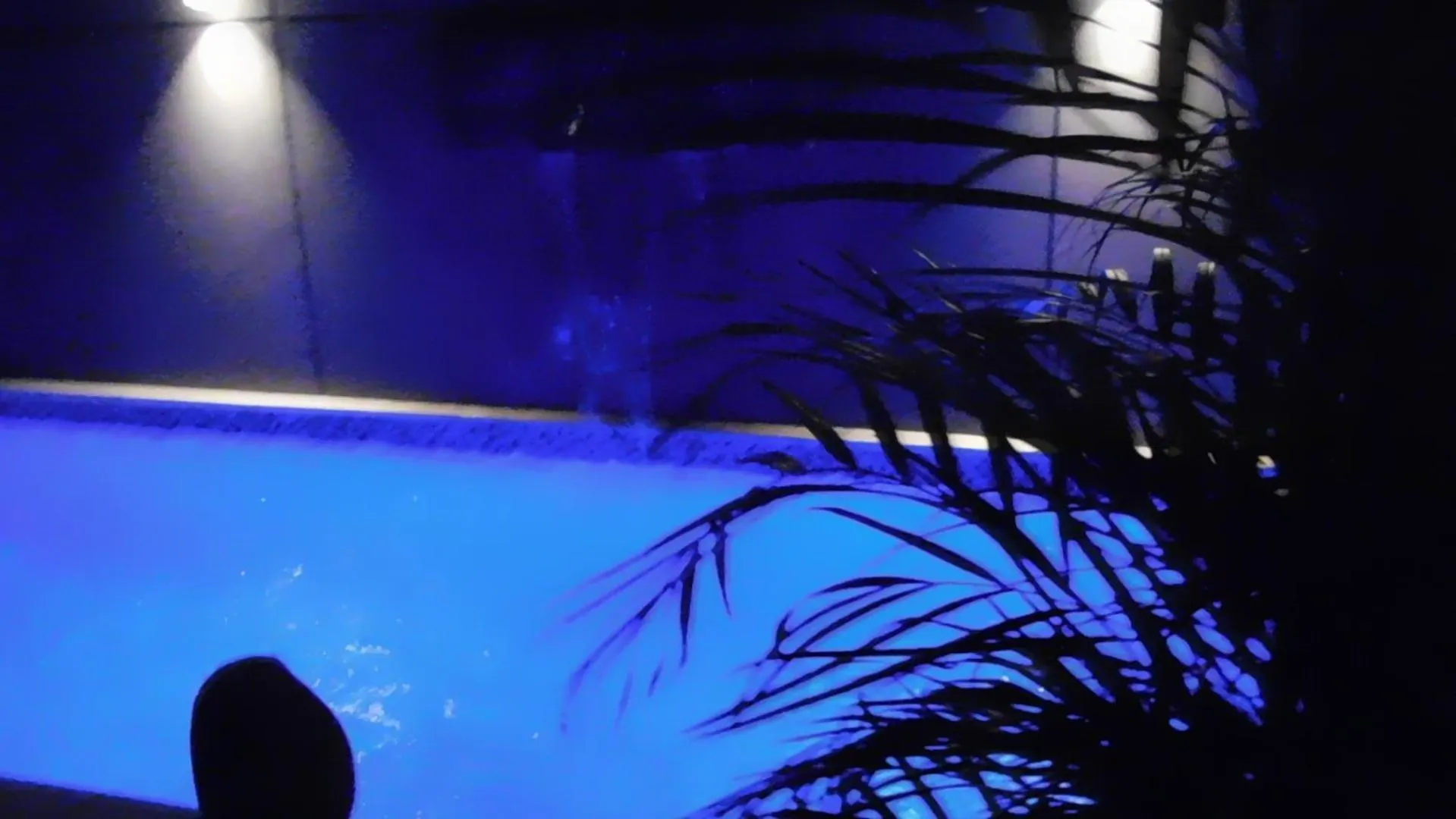 Oasis Urban Retreat Apartment Cancun